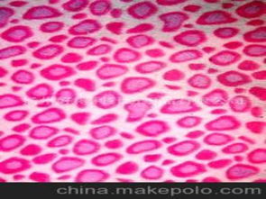 毛巾針紡織品供應(yīng)商、價(jià)格與批發(fā)市場全攻略